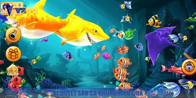 Áp dụng những bí quyết săn cá sẽ giúp bạn tăng tối đa tỷ lệ thắng