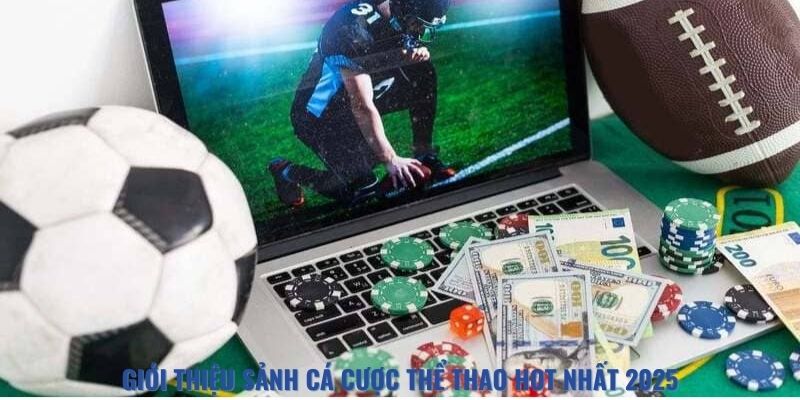 Đôi nét về sảnh thể thao
