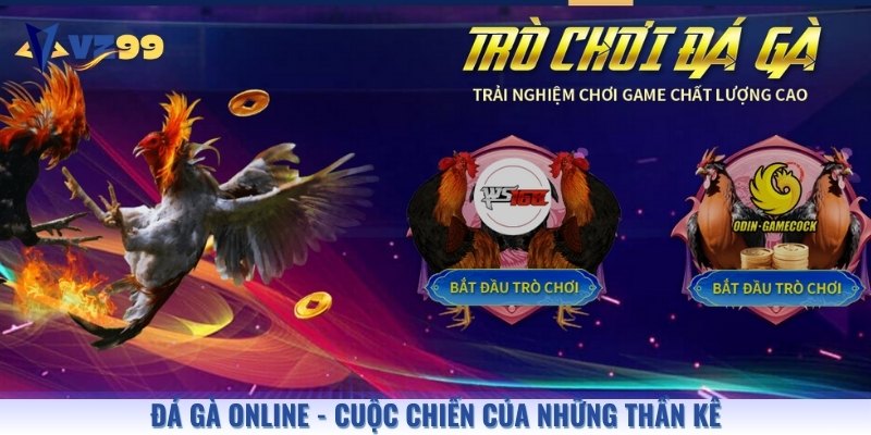 Các trận chiến tại sảnh đá gà chắc chắn sẽ khiến bạn ấn tượng